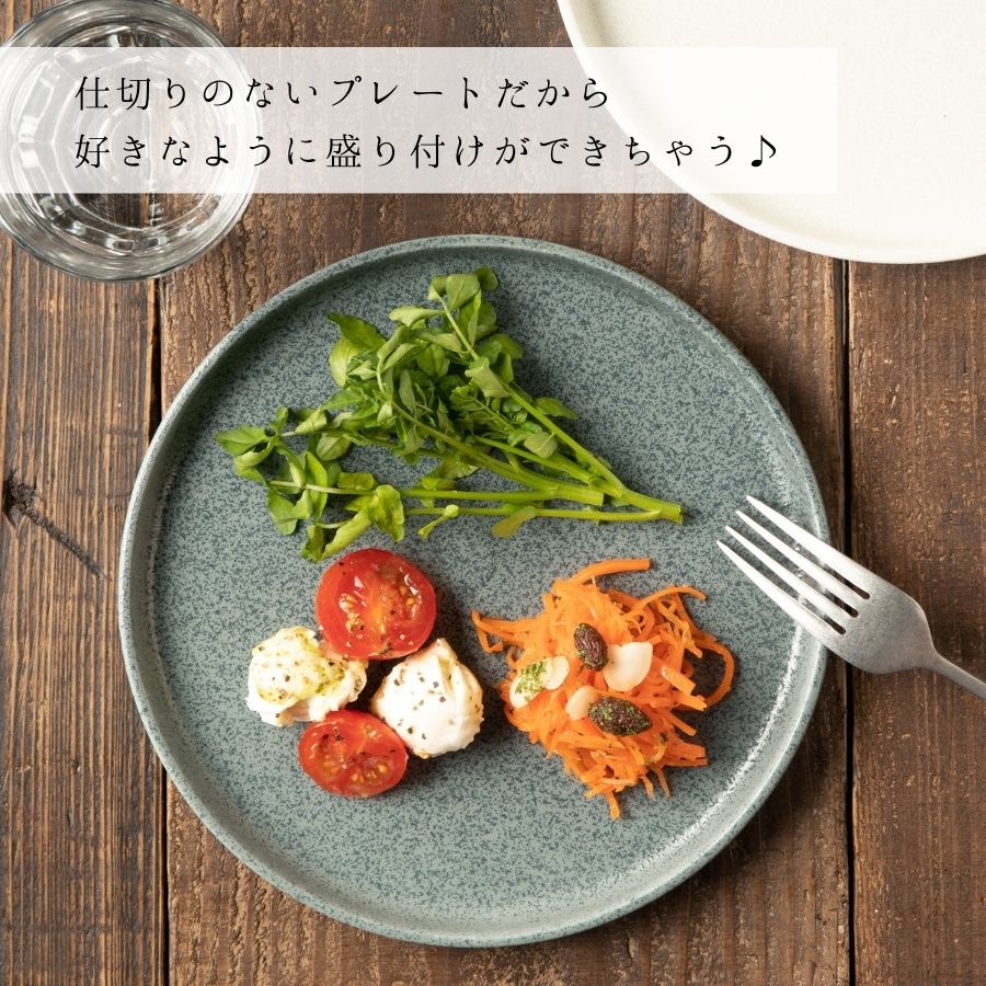 �ե�å� �饦��ɥץ졼�� 20cm