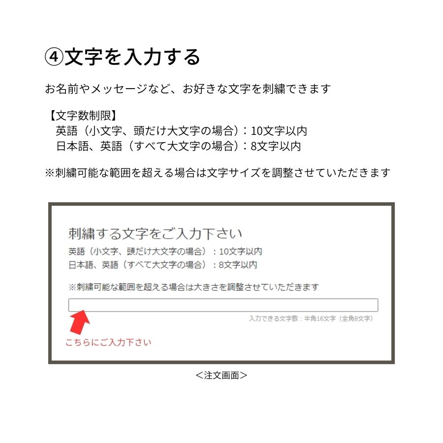 ꥸʥɽХߥ˥ȡ