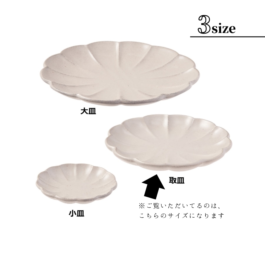 ����ʴ�� ��� �軮