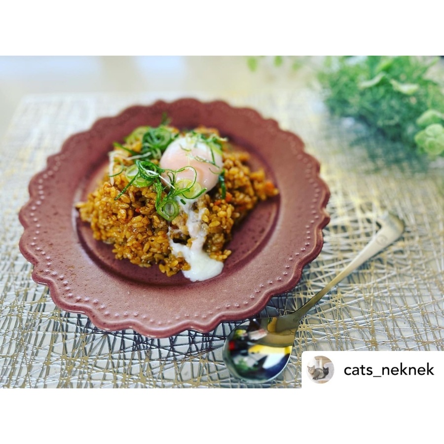 ɥåȥ꡼ 23cm ץ졼