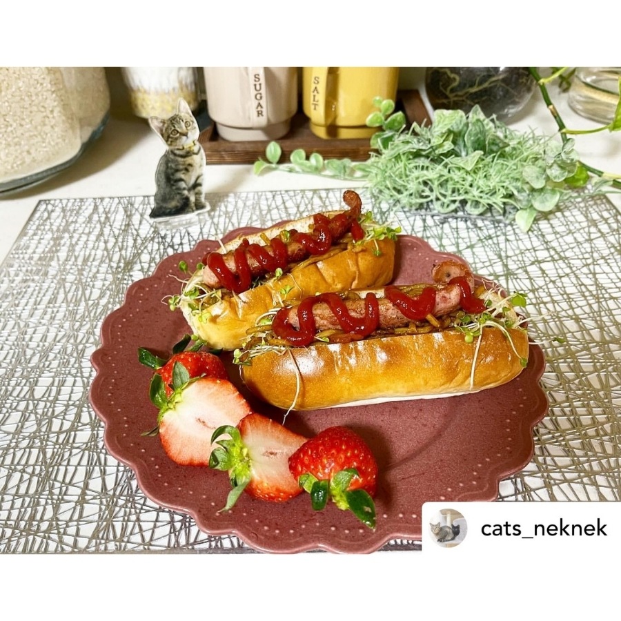 ɥåȥ꡼ 23cm ץ졼