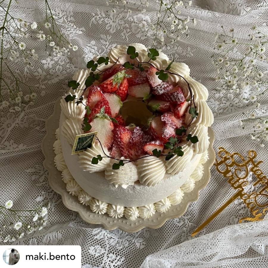 ɥåȥ꡼ 23cm ץ졼