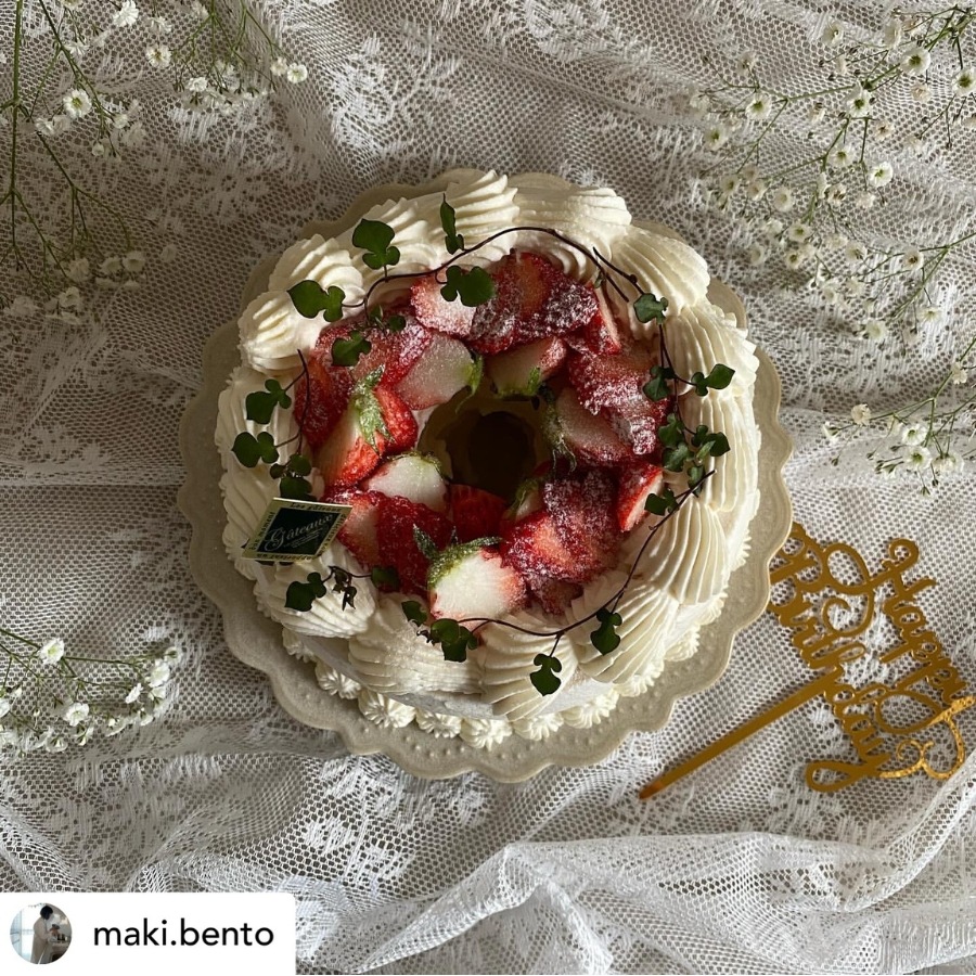 ɥåȥ꡼ 23cm ץ졼