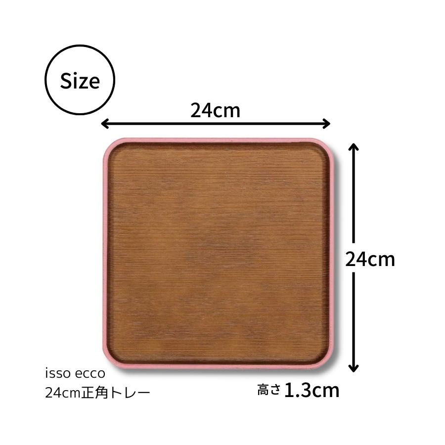 issoecco 24cmюĎڎ(CC)