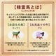 ���饹�����ϥ��å�
