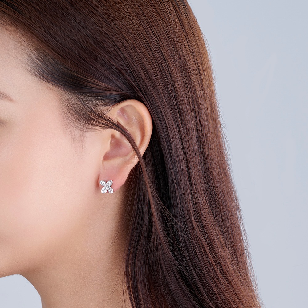 Pt Lilas �ԥ����ʾ���