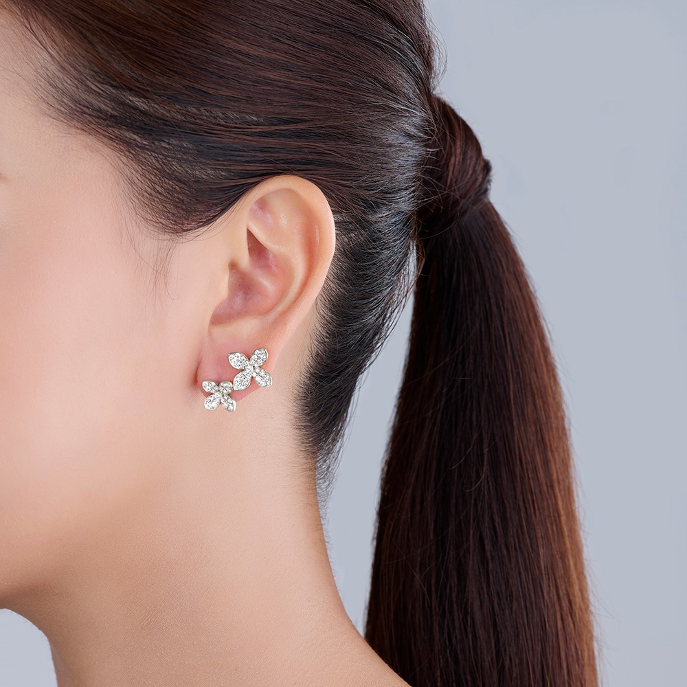 Pt Lilas �ԥ����ʾ���