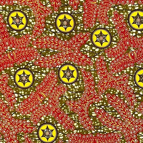 アフリカンプリント生地　0.5m(50cm)単位 AP-12437　シダ植物 六芒星 朱色