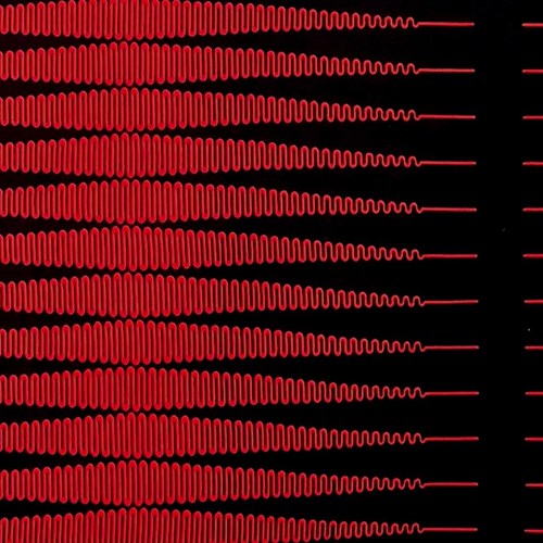 アフリカンプリント 布 生地 50cm単位 AP-13293  エンクルマペン 目の錯覚 黒 赤  アフリカ 布 ブロード カットクロス ハンドメイド パッチワーク エコバッグ 手芸材料 ダンス 舞台 衣装 通園通学に