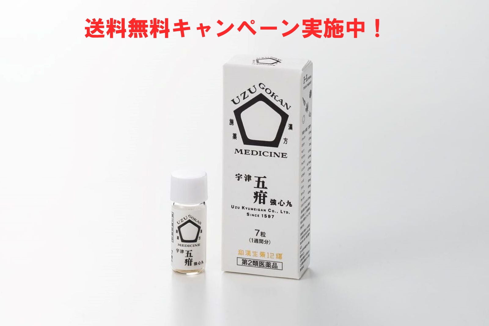 宇津救命丸（株）の大人向け五疳強心薬【第2類医薬品】