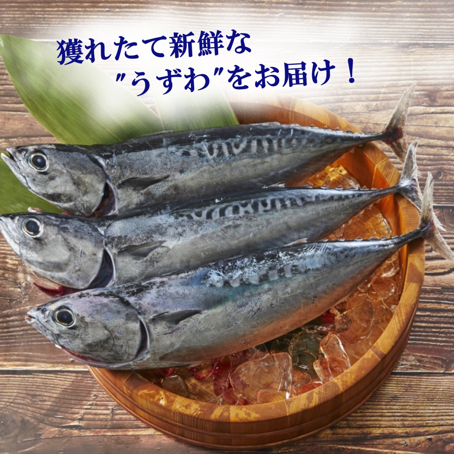 うずわの青唐たたき│2皿セット【送料無料】