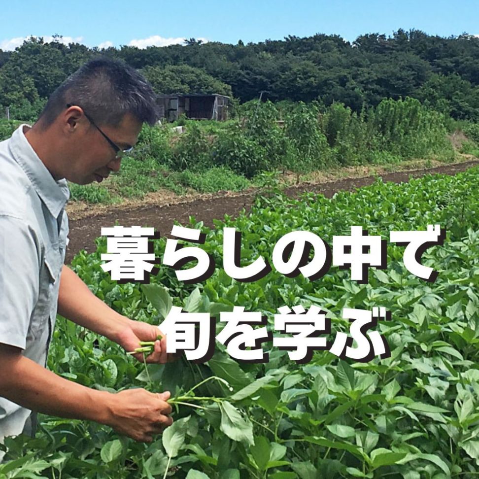 久野農園　おまかせ野菜セット