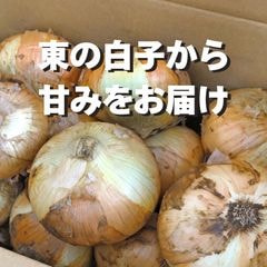《2026年予約受付中》＜宅配＞千葉県細谷農園 白子産たまねぎ1箱11kg　