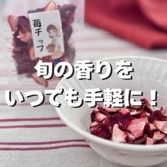 いちごの美味しさ凝縮！48時間低温乾燥の苺ドライチップ 3袋セット（1袋20g）旬菜里《千葉》