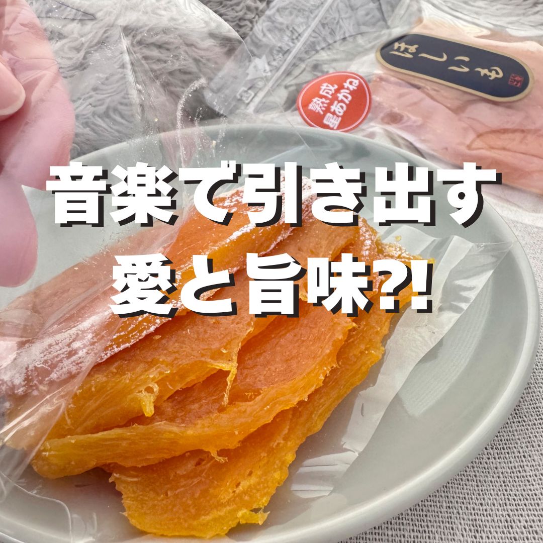 モーツァルトの楽曲で音響熟成した干し芋！3種食べくらべセット《茨城県》ふるさと工房