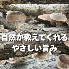 乾しいたけ 1袋（スライス／クラッシュ）