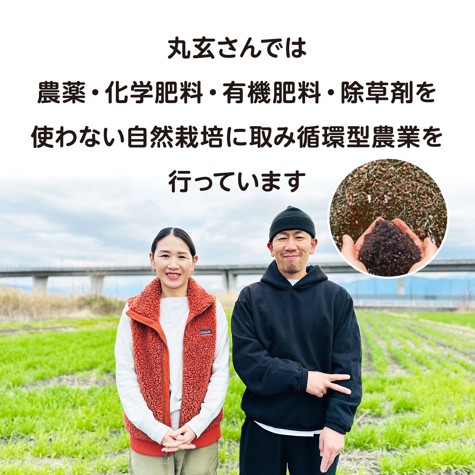 ポリサクが止まらない!自然栽培の煎り大豆 3袋セット(1袋60g)畑が作る自然食 丸玄《山梨県》