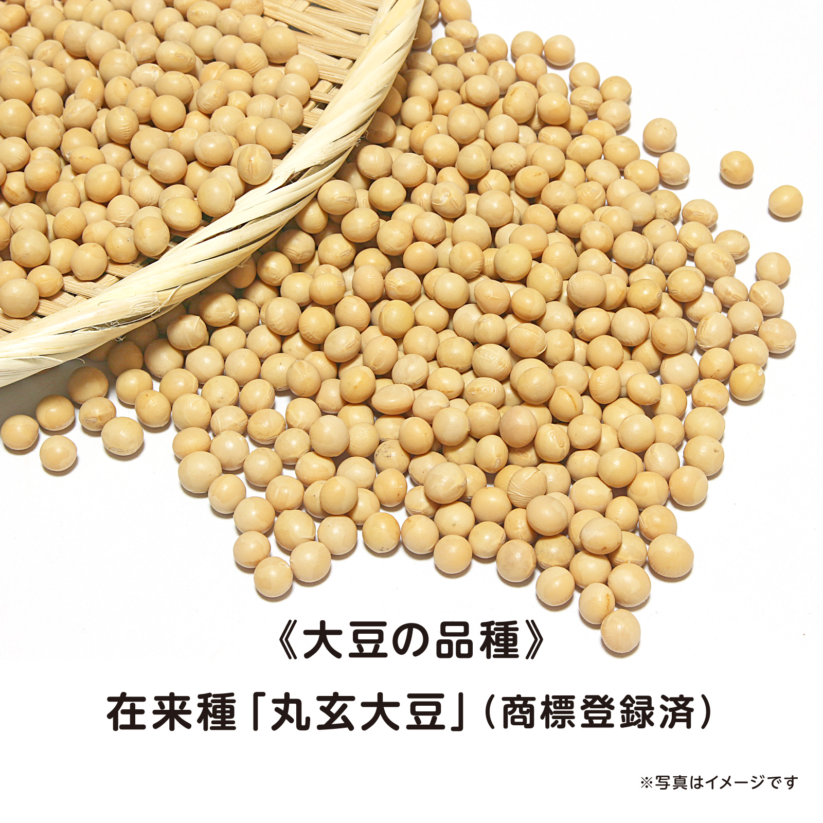ポリサクが止まらない!自然栽培の煎り大豆 3袋セット(1袋60g)畑が作る自然食 丸玄《山梨県》