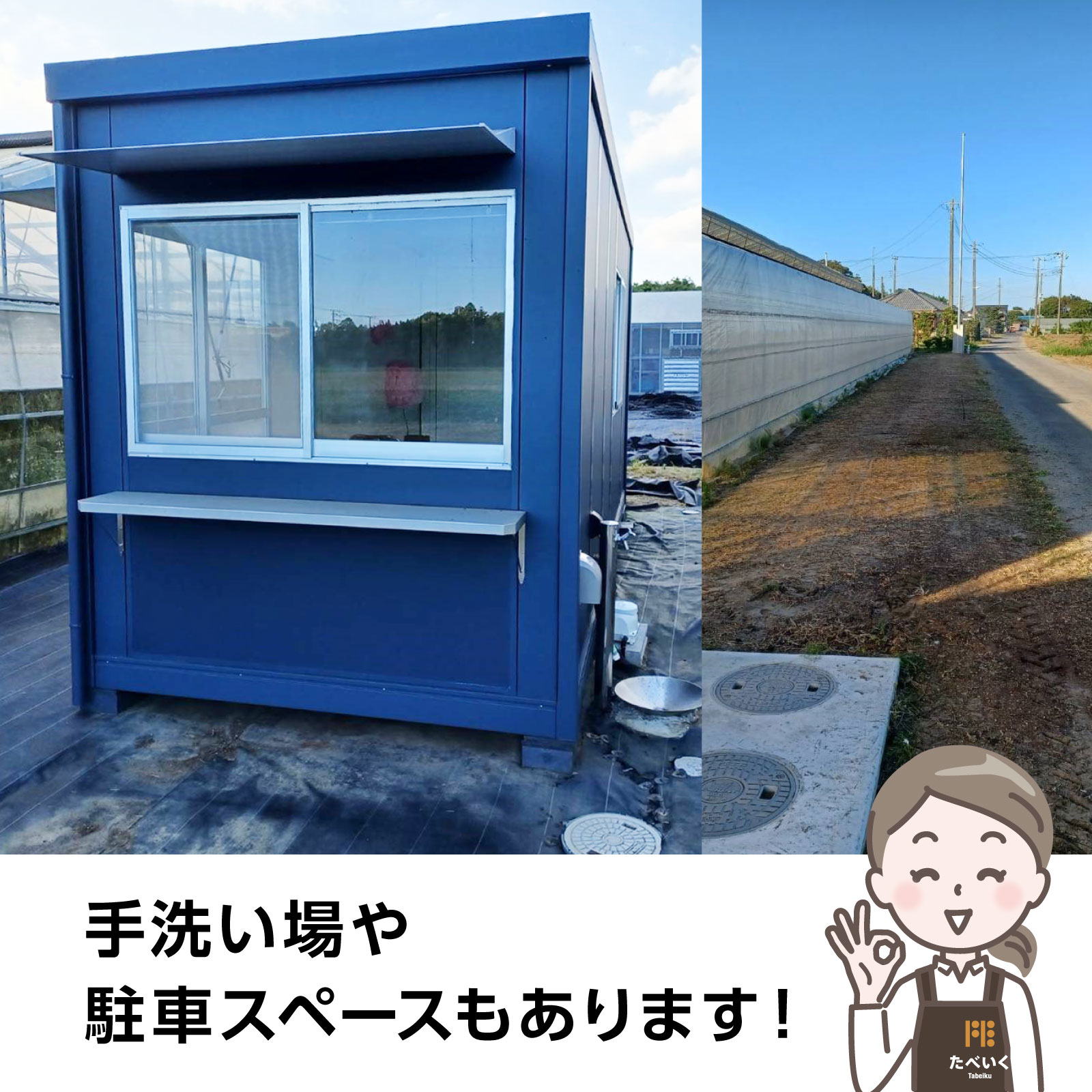 《2025年予約受付》千葉県てげなファーム“さつまいも”収穫体験