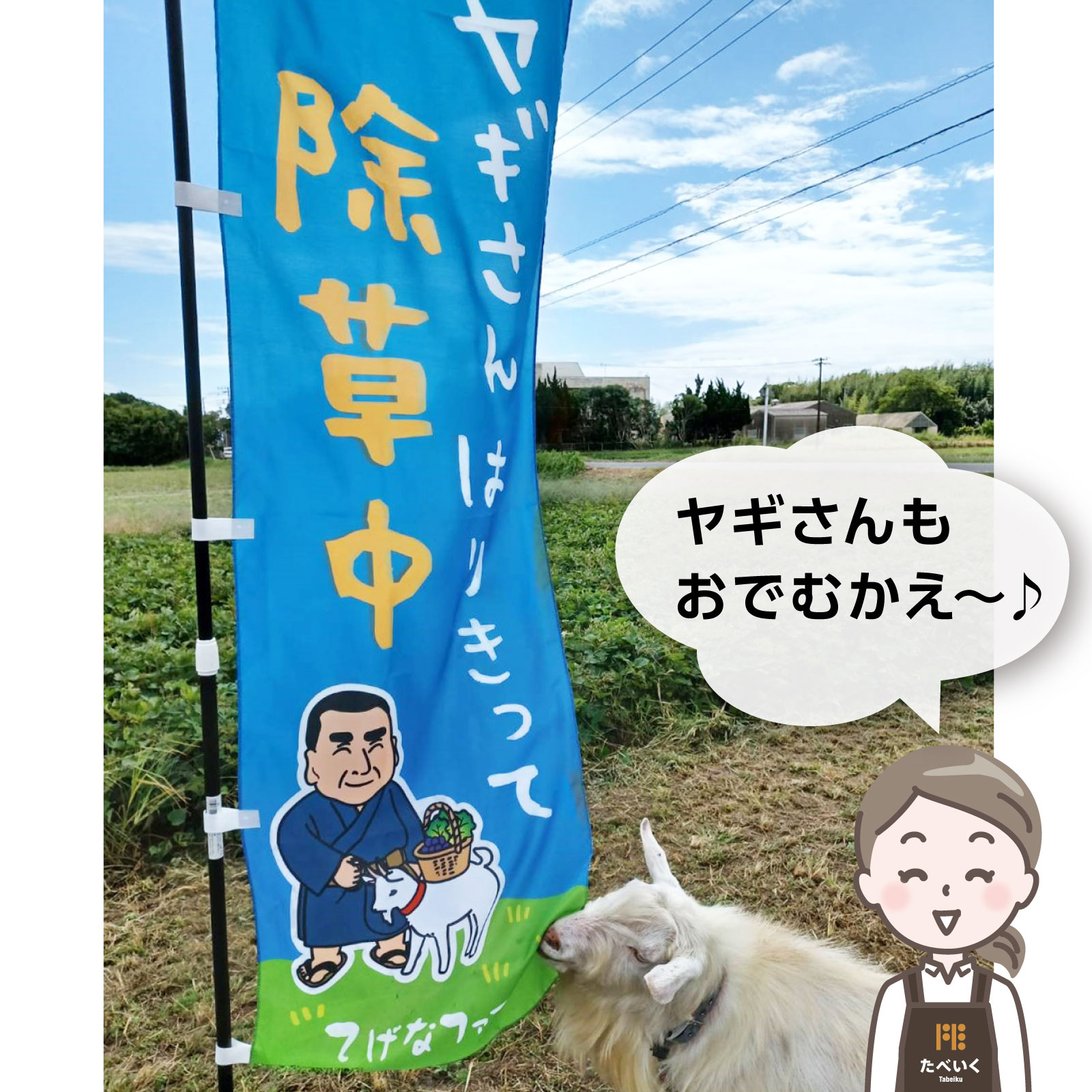 《2025年予約受付》千葉県てげなファーム“さつまいも”収穫体験