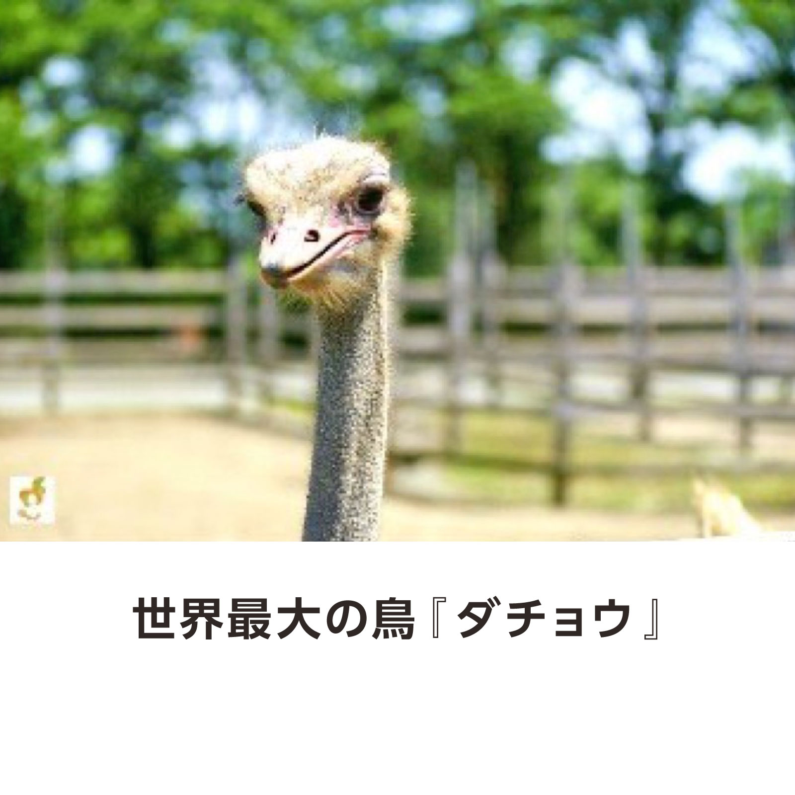 󥺥ȥåӥΥ祦Τޤ