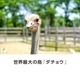 󥺥ȥåӥΥ祦Τޤ