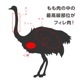 NHKǾҲ𡪥󥺥ȥåӥΰ븩祦ե600g