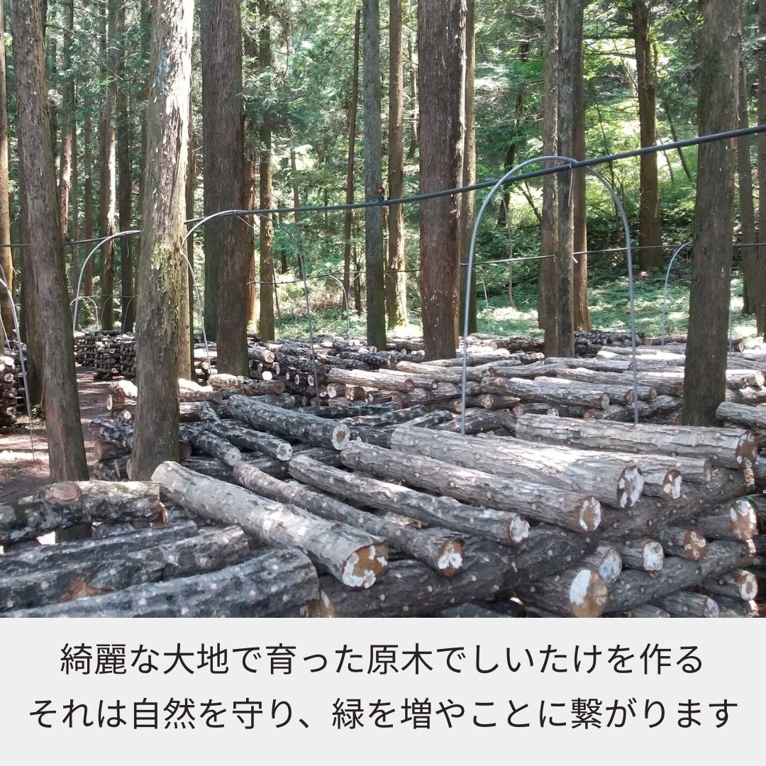 乾しいたけ 1袋（スライス／クラッシュ）