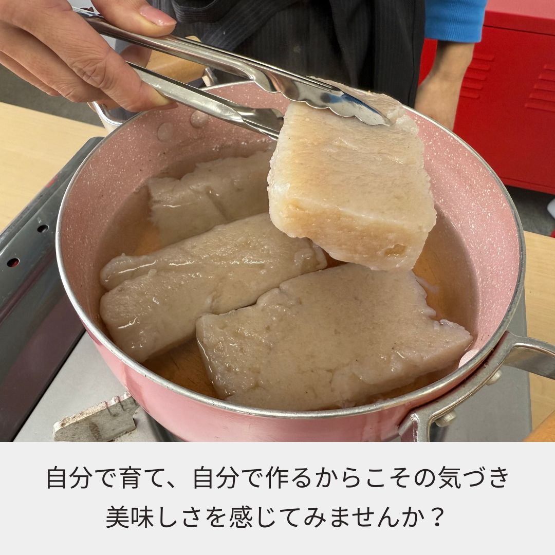 【体験型食育キット】育てるこんにゃく栽培キット ～種芋から育て、こんにゃくを作る～