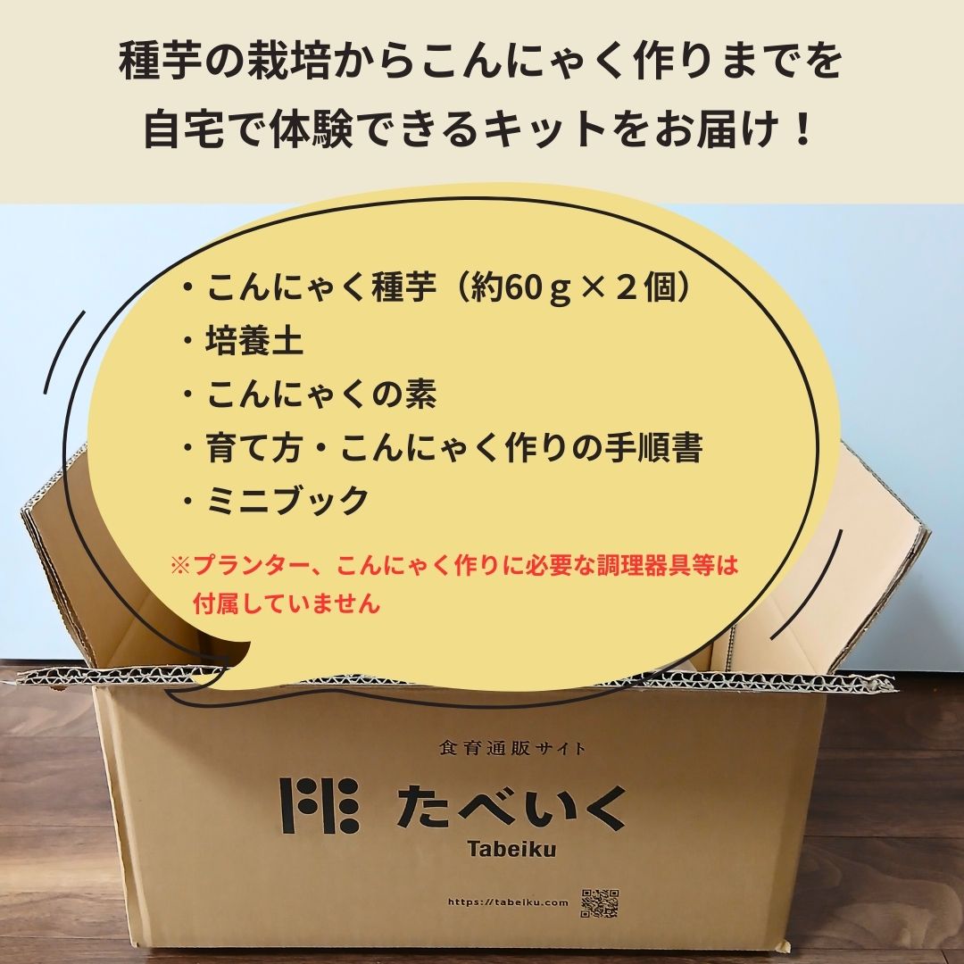 【体験型食育キット】育てるこんにゃく栽培キット ～種芋から育て、こんにゃくを作る～
