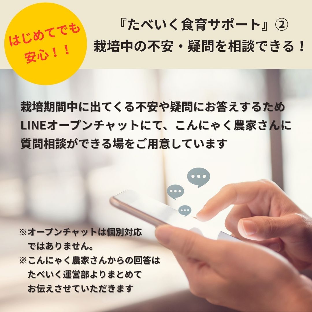 【体験型食育キット】育てるこんにゃく栽培キット ～種芋から育て、こんにゃくを作る～