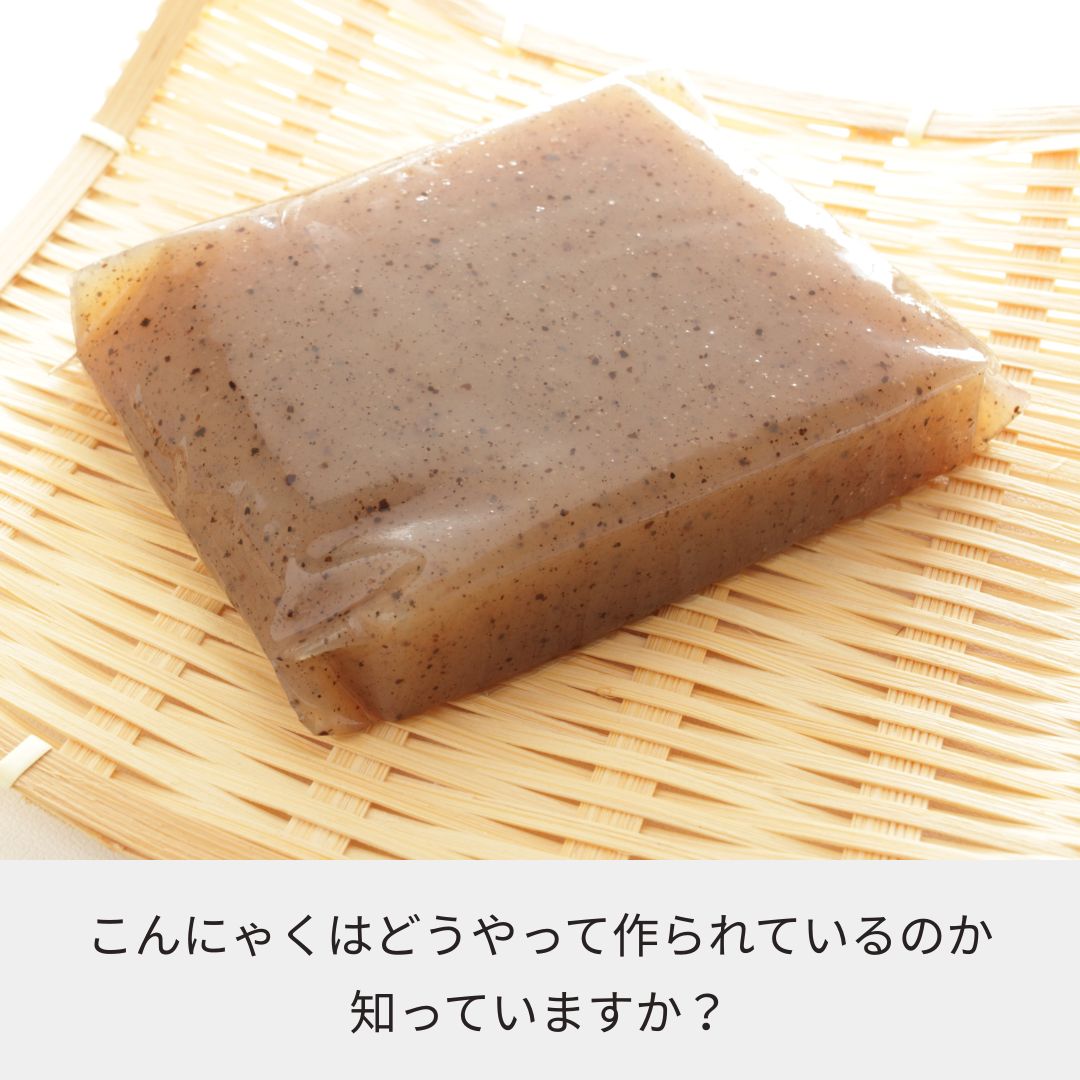 【体験型食育キット】育てるこんにゃく栽培キット ～種芋から育て、こんにゃくを作る～