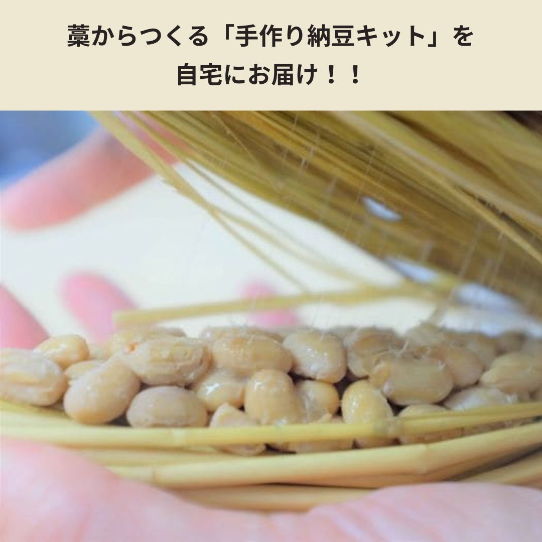 【夏休み自由研究にオススメ!!】藁からつくる「手作り納豆」キット