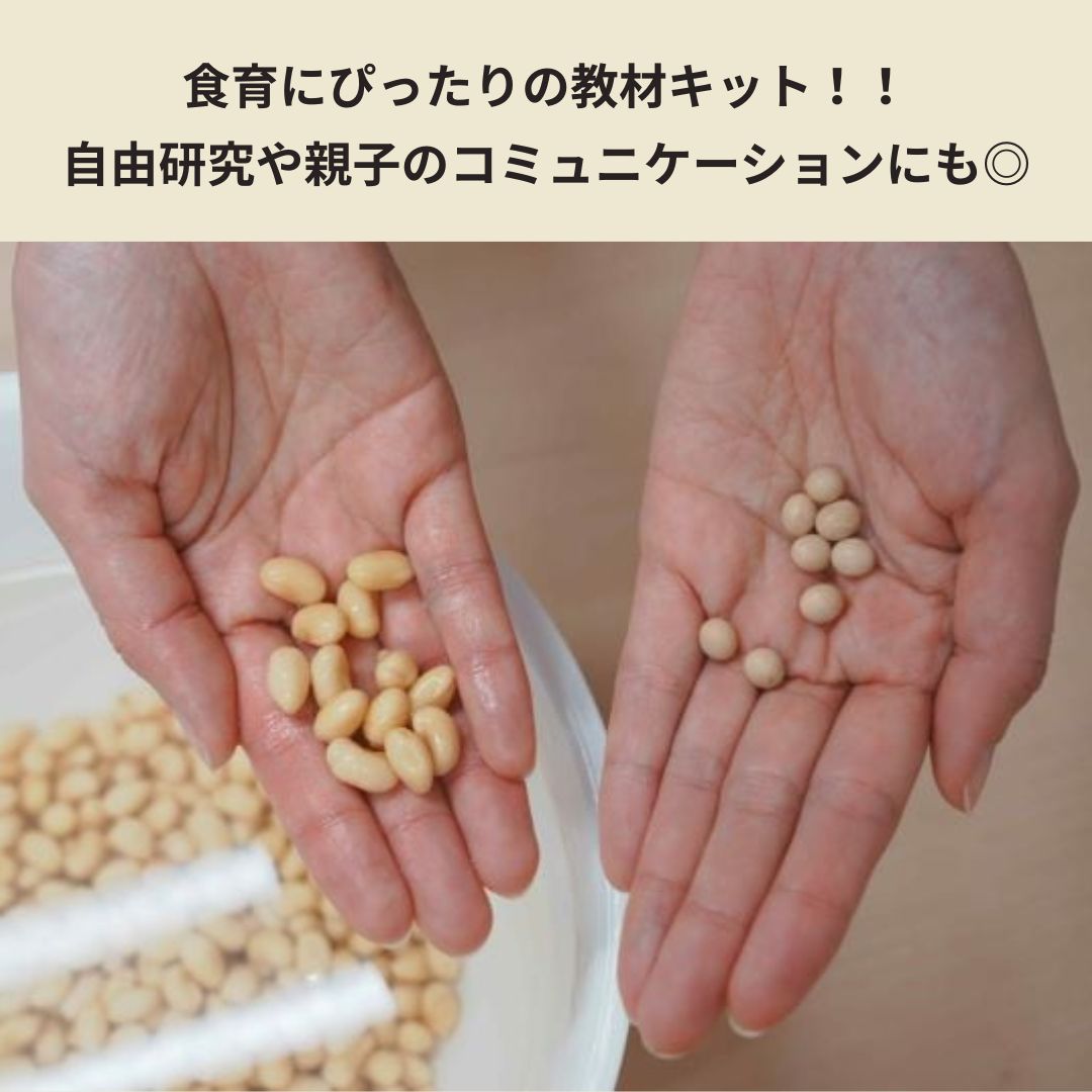 【夏休み自由研究にオススメ!!】藁からつくる「手作り納豆」キット