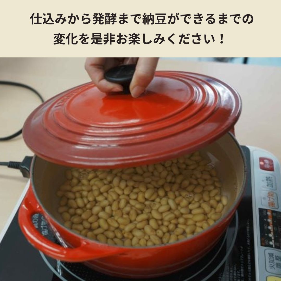 【夏休み自由研究にオススメ!!】藁からつくる「手作り納豆」キット