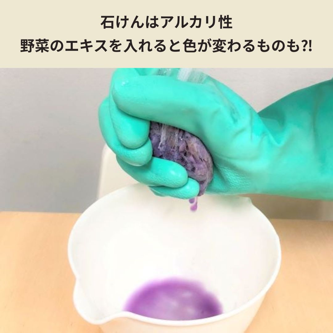 【夏休み自由研究にオススメ!!】野菜のエキスで作ろう「宝石せっけん」キット