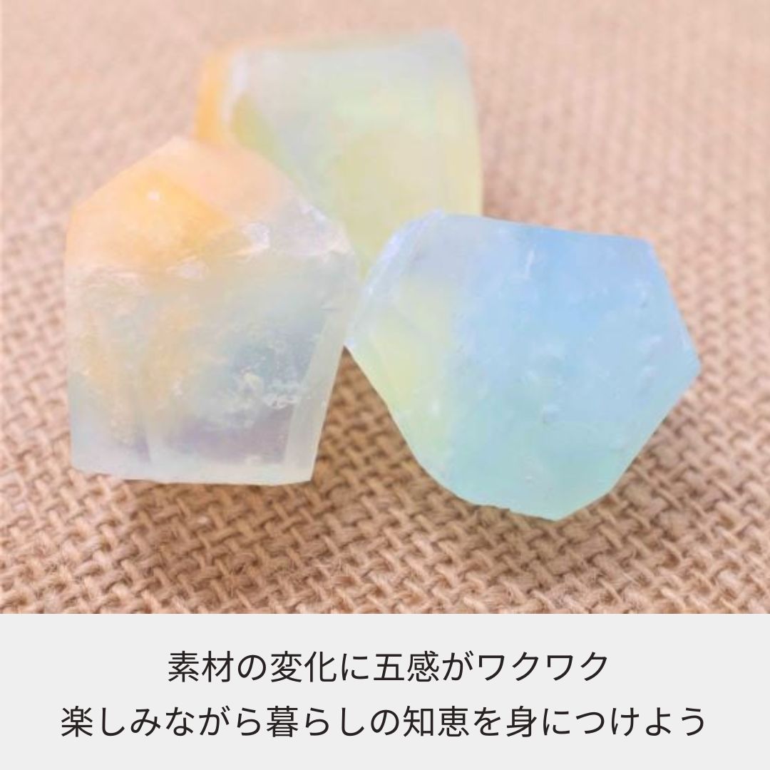 【夏休み自由研究にオススメ!!】野菜のエキスで作ろう「宝石せっけん」キット
