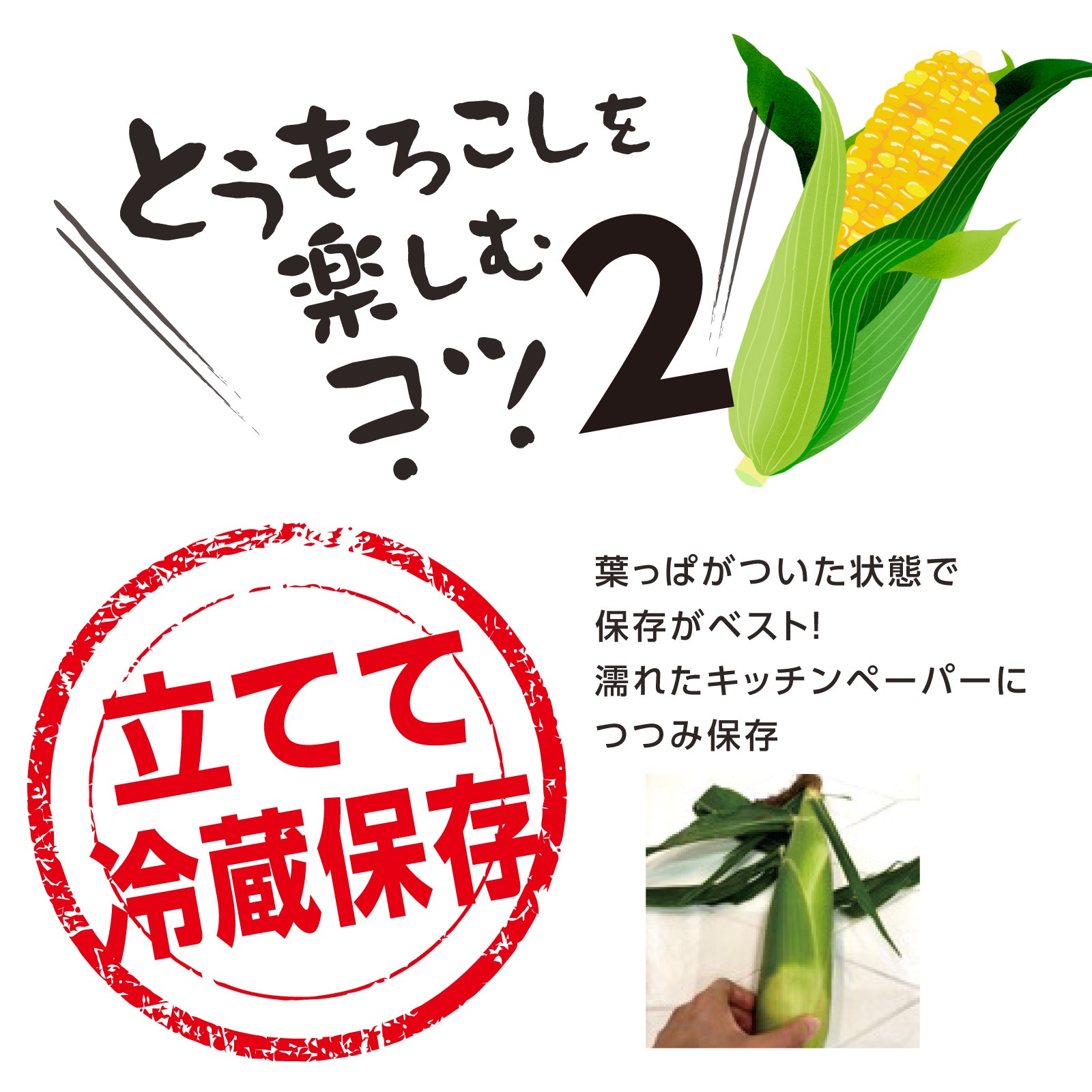 《2026年予約受付中》<宅配>長野県みどりの大地のとうもろこし「プレミアム味来85」一部エリア送料無料!!