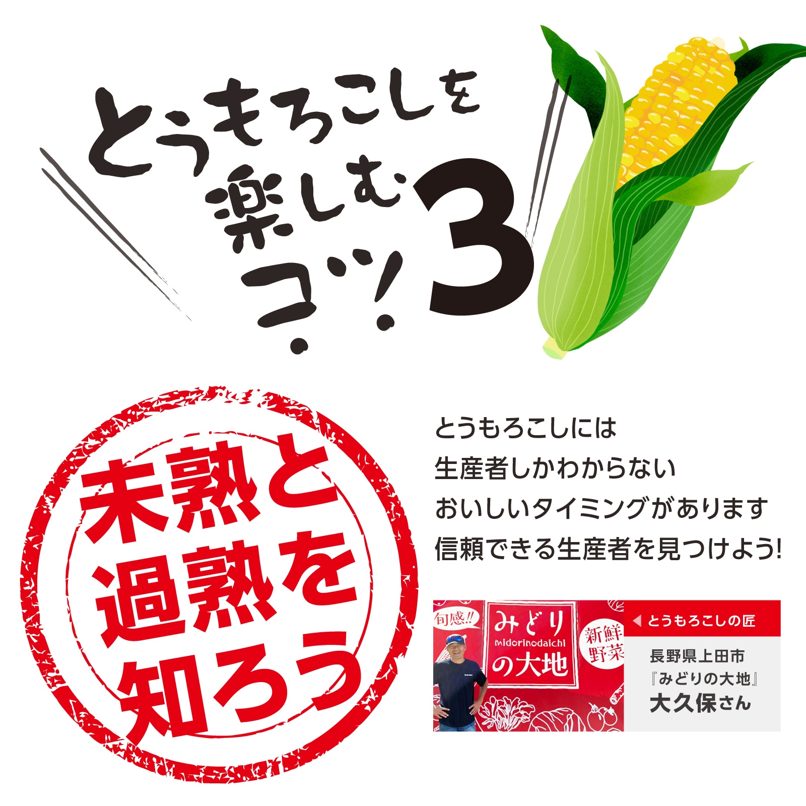《2026年予約受付中》<宅配>長野県みどりの大地のとうもろこし「プレミアム味来85」一部エリア送料無料!!
