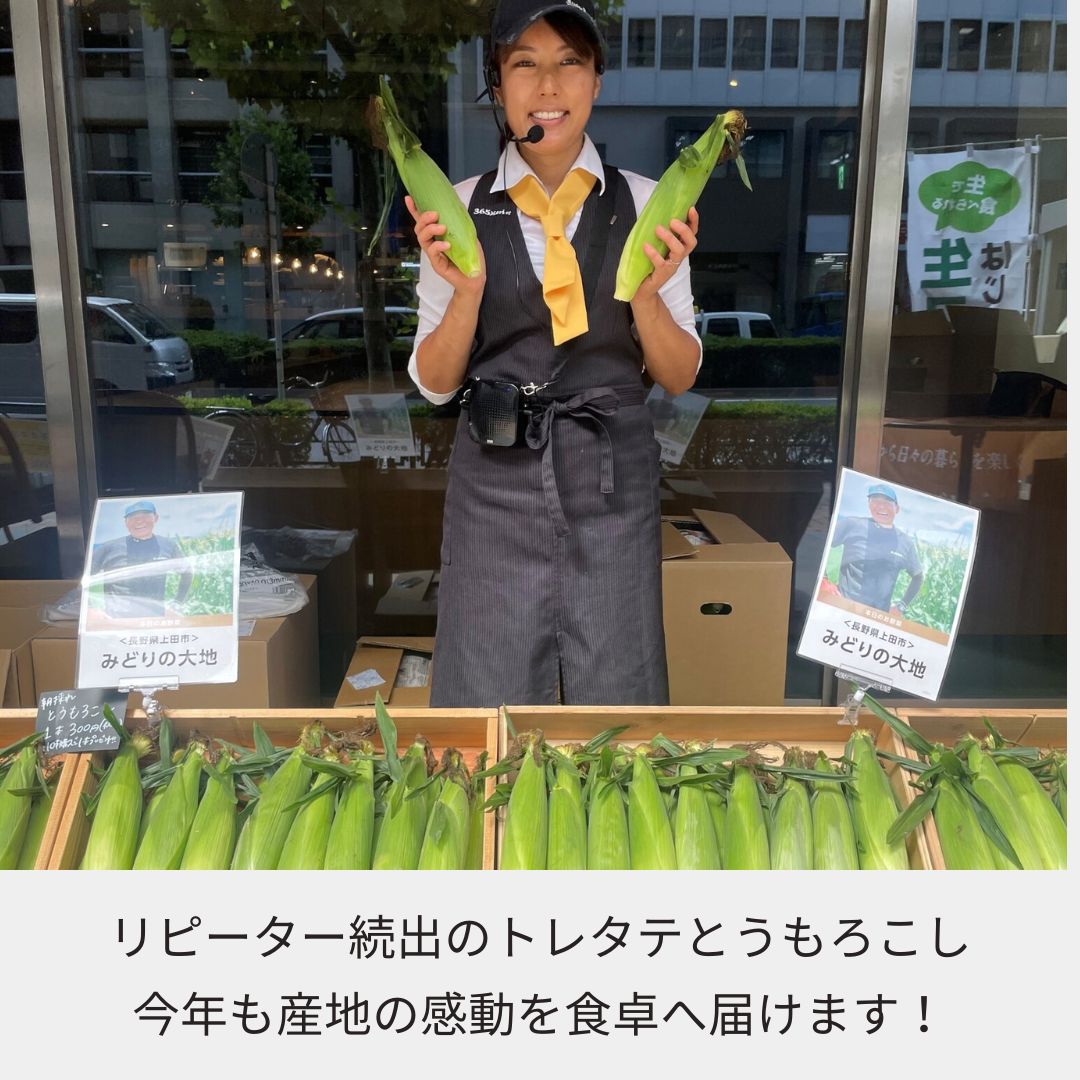 【現地引取】トレタテ大作戦とうもろこし《30本以上購入の方のみ当日配達可能!!（東京都中央区在住の方限定）》