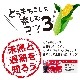 2024ǯͽսλѡĹߤɤϤΤȤ֥ץߥ̣85