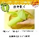 2024ǯͽսλѡĹߤɤϤΤȤ֥ץߥ̣85