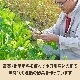 븩νܤΤޤڥåȡ㣵ʡ