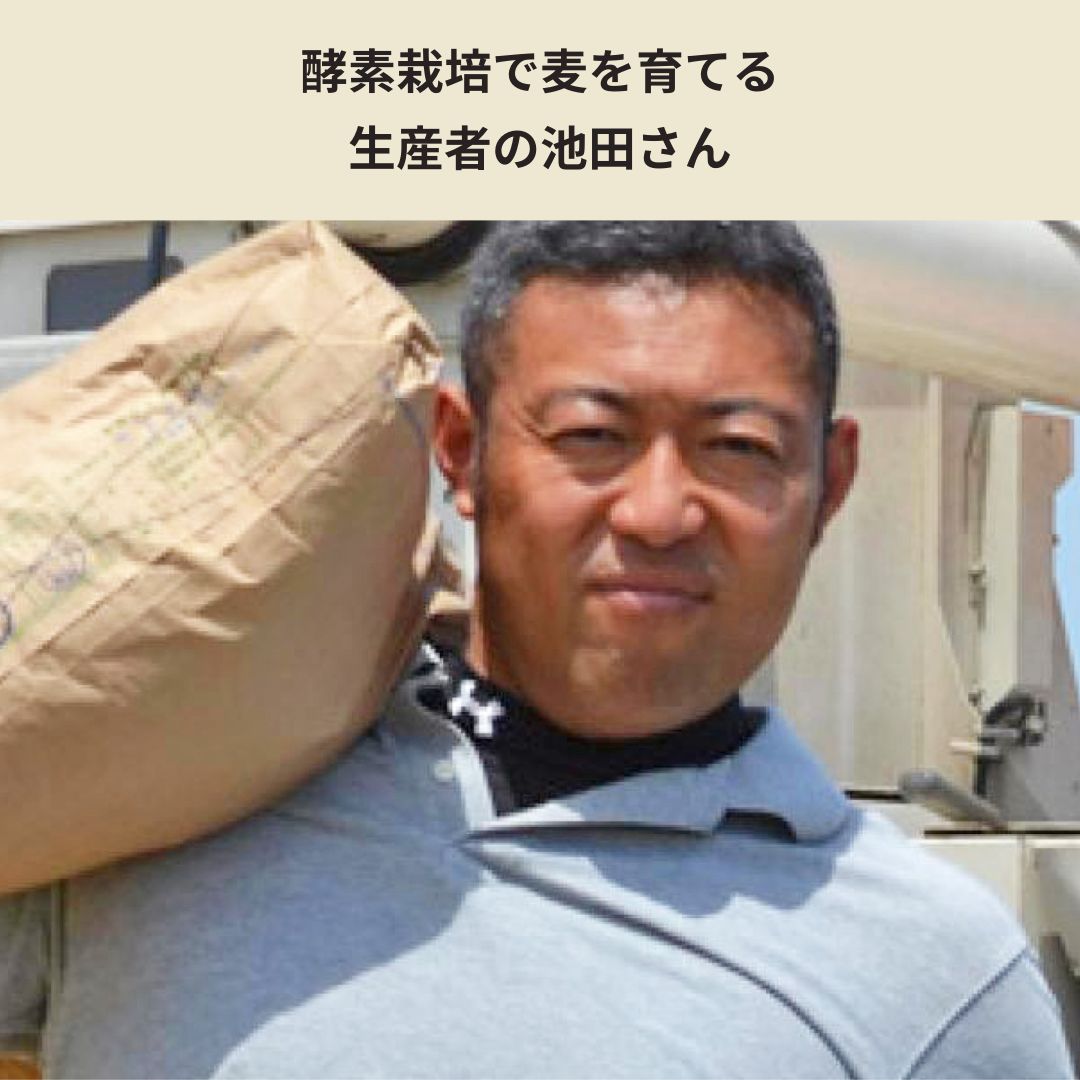 二条大麦使用!佐賀県イケマコの百姓品質麦茶<18パック入り>