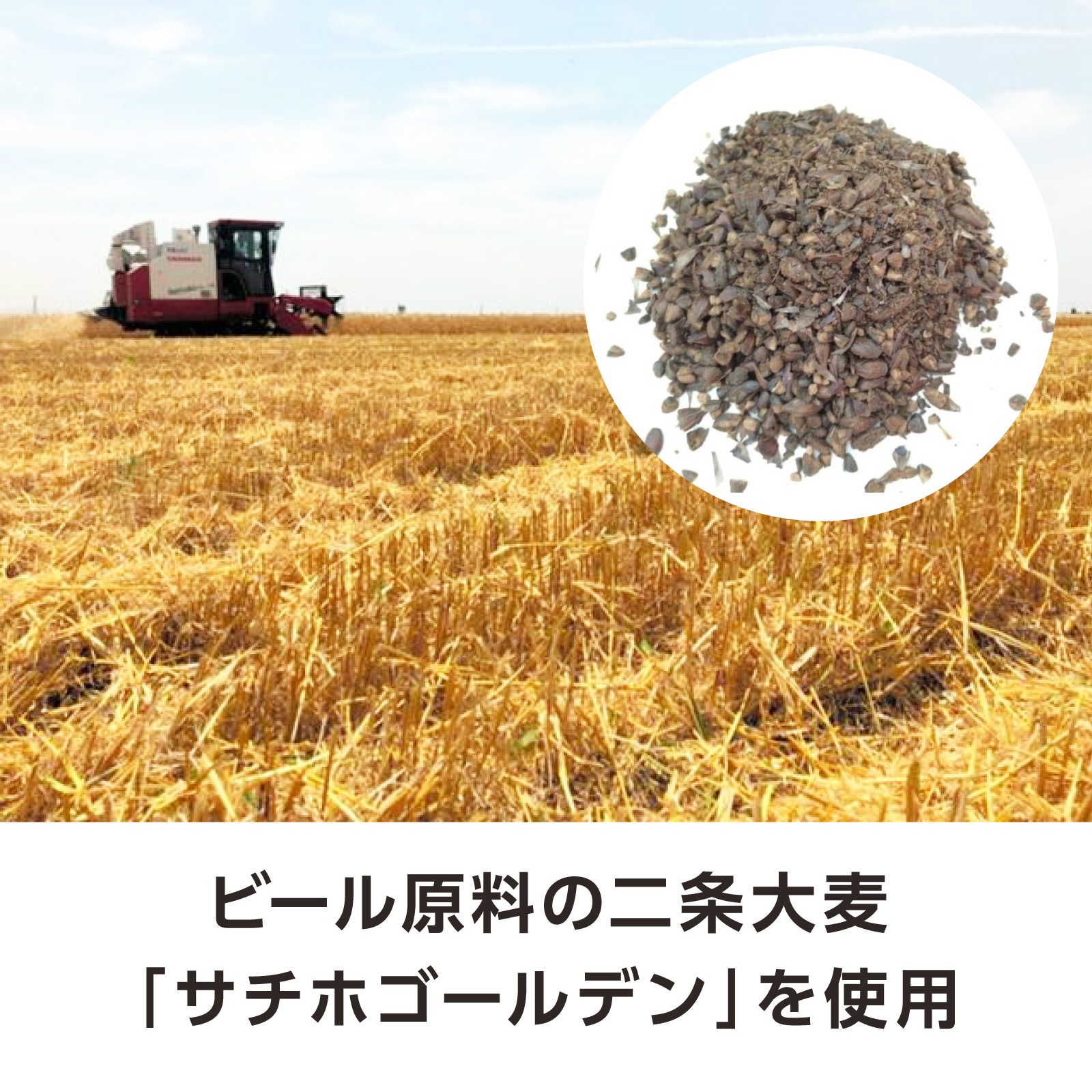 ѡ츩ޥɴʼ18ѥå
