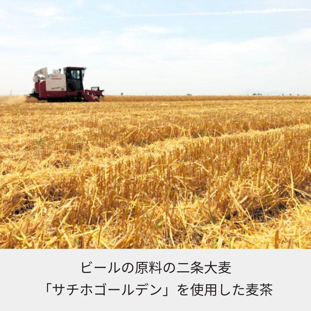 二条大麦使用!佐賀県イケマコの百姓品質麦茶<18パック入り>