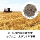 ѡ츩ޥɴʼ18ѥå