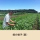 ࡡޤڥå