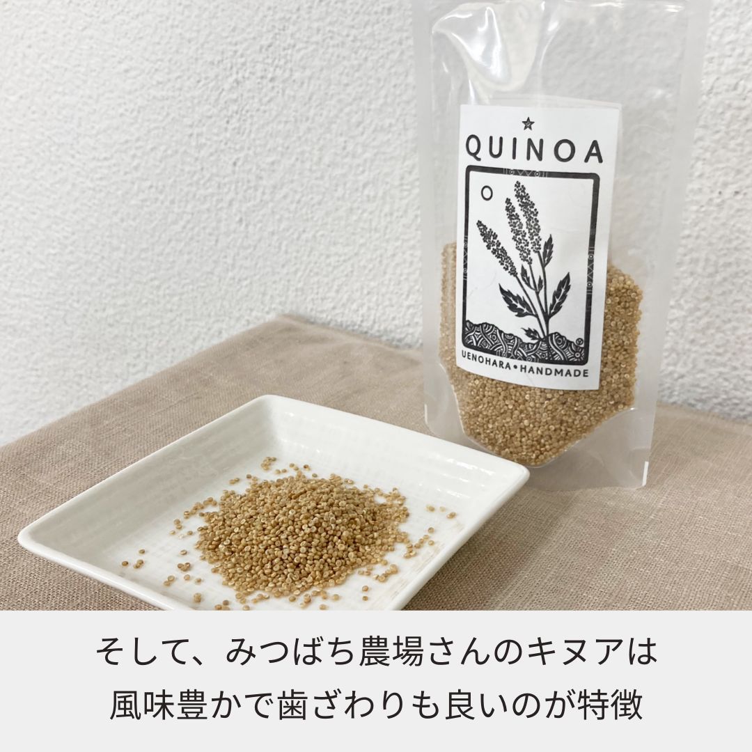 国産スーパーフード！山梨県上野原市　みつばち農場の『キヌア』