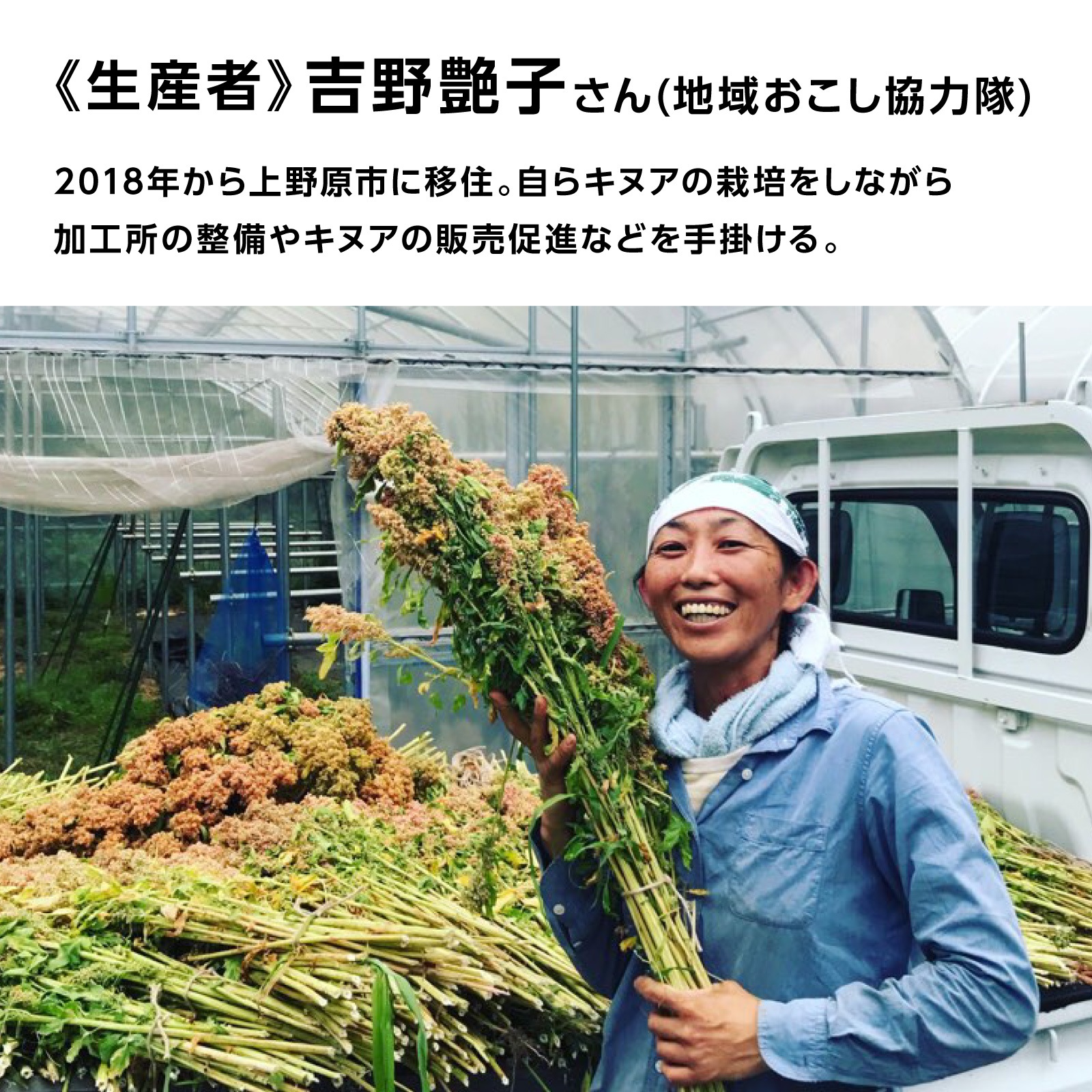 国産キヌアを100%使用!山梨県上野原市 みつばち農場の『キヌアコーヒー』